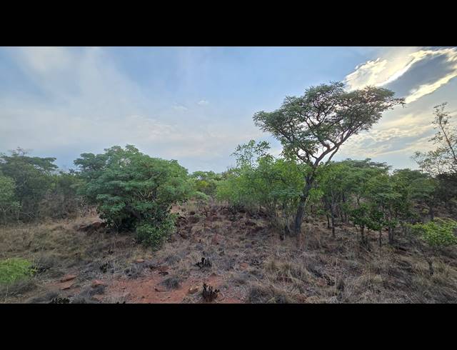 2,500M² VACANT LAND FOR SALE IN VERLOREN ESTATE